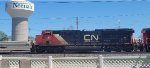 CN 3130